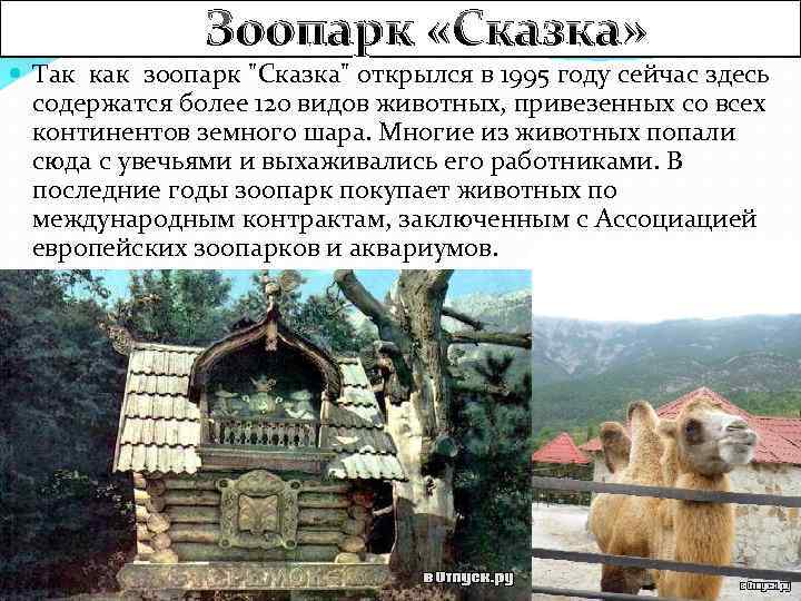 Зоопарк «Сказка» Так как зоопарк "Сказка" открылся в 1995 году сейчас здесь содержатся более