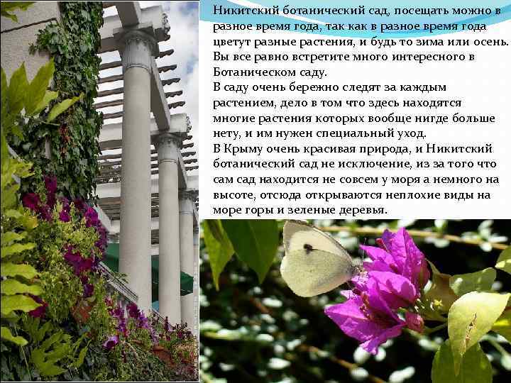 Никитский ботанический сад, посещать можно в разное время года, так как в разное время