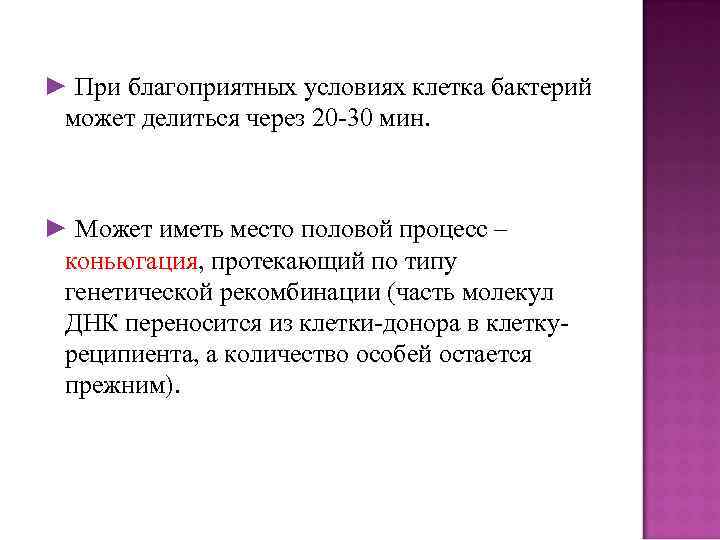 ► При благоприятных условиях клетка бактерий может делиться через 20 -30 мин. ► Может