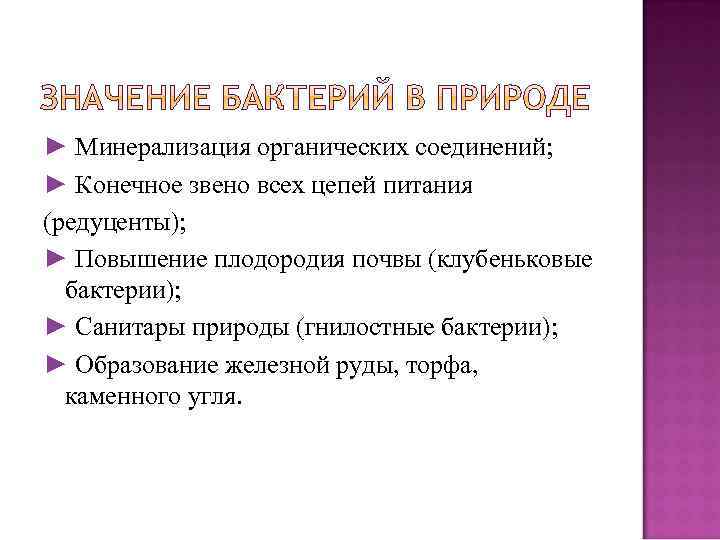 ► Минерализация органических соединений; ► Конечное звено всех цепей питания (редуценты); ► Повышение плодородия