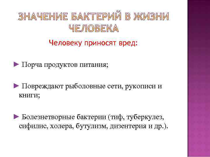 Человеку приносят вред: ► Порча продуктов питания; ► Повреждают рыболовные сети, рукописи и книги;