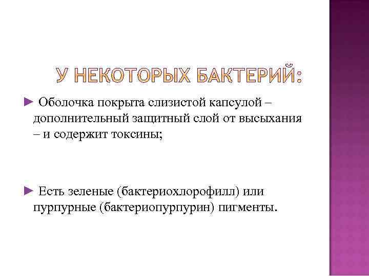 ► Оболочка покрыта слизистой капсулой – дополнительный защитный слой от высыхания – и содержит