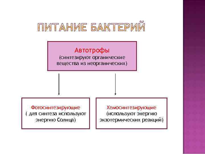 Автотрофы (синтезируют органические вещества из неорганических) Фотосинтезирующие ( для синтеза используют энергию Солнца) Хемосинтезирующие