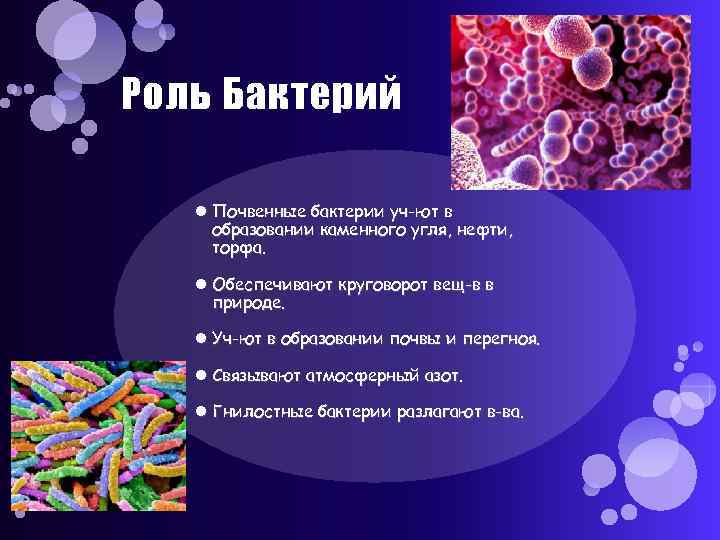 Роль Бактерий Почвенные бактерии уч-ют в образовании каменного угля, нефти, торфа. Обеспечивают круговорот вещ-в
