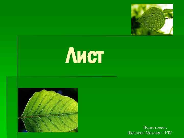 Лист Подготовил : Шаповал Максим 11 ”В” 