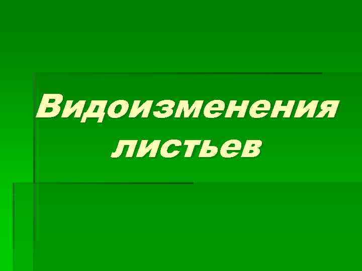 Видоизменения листьев 