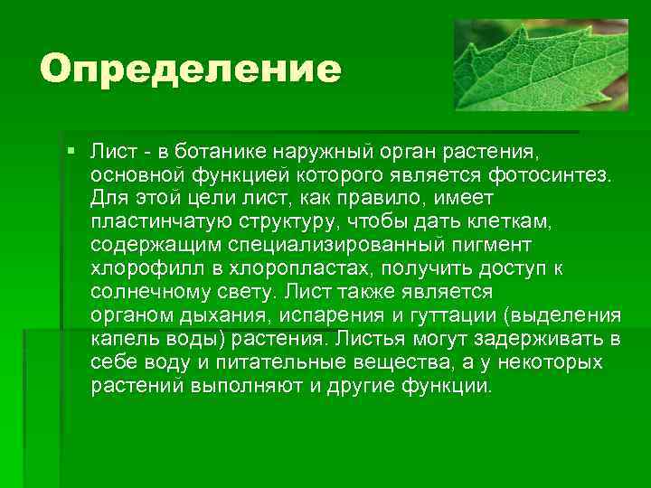 Орган листьев. Лист определение. Лист определение биология. Дать определение что такое лист. Лист определение ботаника.