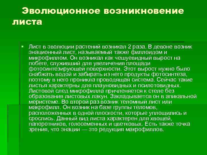 Происхождение листьев. Лист возникновение в эволюции. Эволюция листа у растений. Микрофильная линия эволюции листа. Появление листьев.