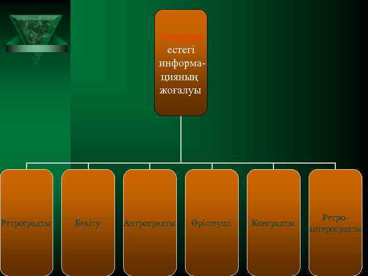 Амнезия естегі информацияның жоғалуы Ретроградты Бекіту Антроградты Өрістеуші Конградты Ретроантероградты 