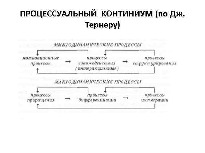 ПРОЦЕССУАЛЬНЫЙ КОНТИНИУМ (по Дж. Тернеру) 