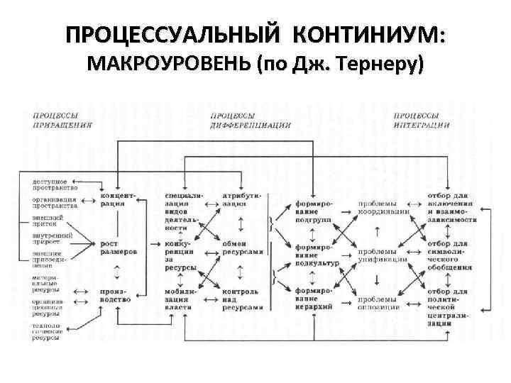 ПРОЦЕССУАЛЬНЫЙ КОНТИНИУМ: МАКРОУРОВЕНЬ (по Дж. Тернеру) 