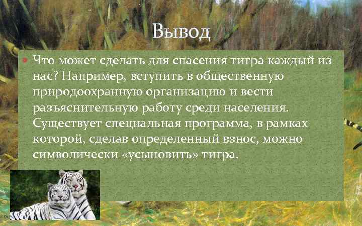 Вывод Что может сделать для спасения тигра каждый из нас? Например, вступить в общественную