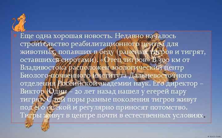  Еще одна хорошая новость. Недавно началось строительство реабилитационного центра для животных, попавших в