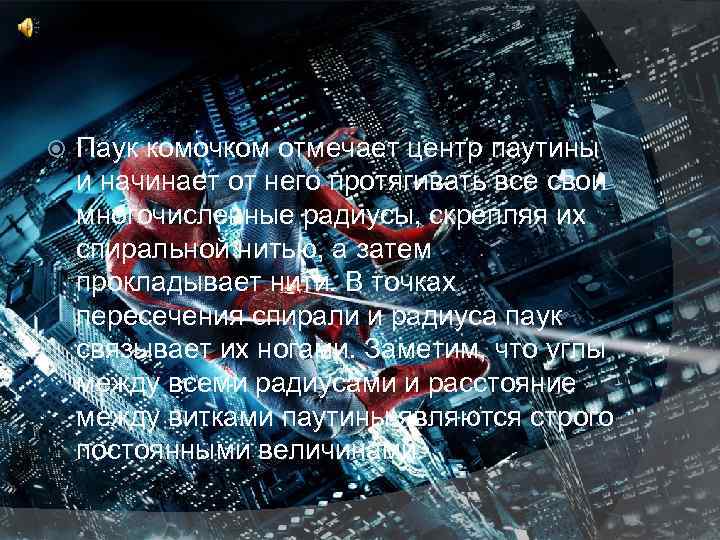  Паук комочком отмечает центр паутины и начинает от него протягивать все свои многочисленные