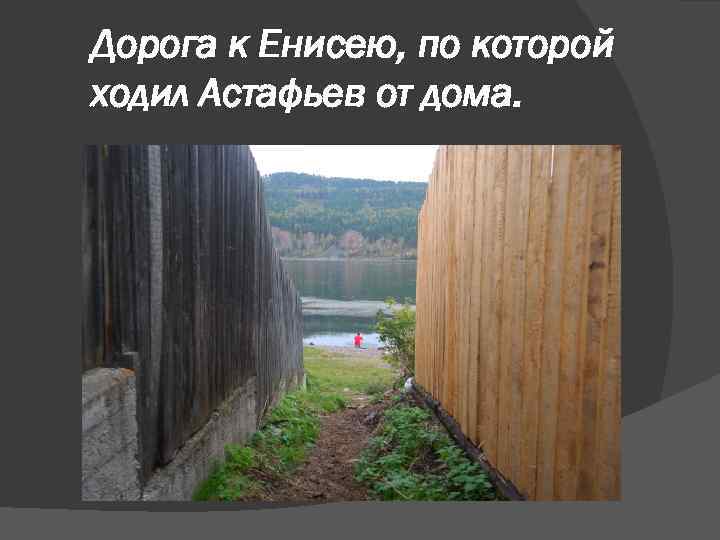 Дорога к Енисею, по которой ходил Астафьев от дома. 