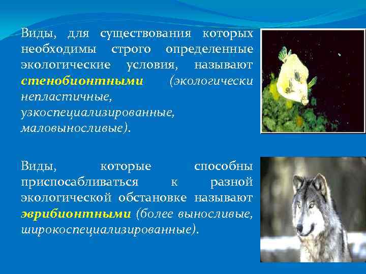 Виды, для существования которых необходимы строго определенные экологические условия, называют стенобионтными (экологически непластичные, узкоспециализированные,