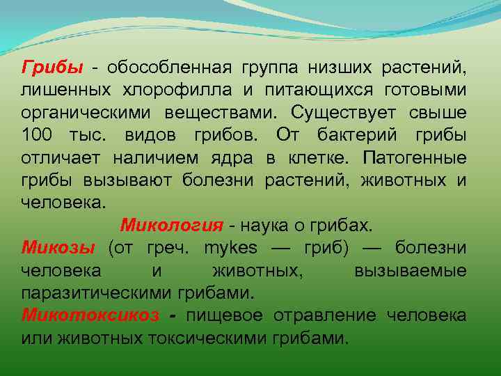 Грибы - обособленная группа низших растений, лишенных хлорофилла и питающихся готовыми органическими веществами. Существует