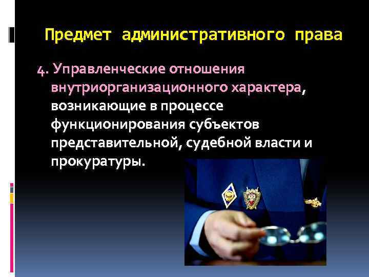 Предмет административного права 4. Управленческие отношения внутриорганизационного характера, возникающие в процессе функционирования субъектов представительной,