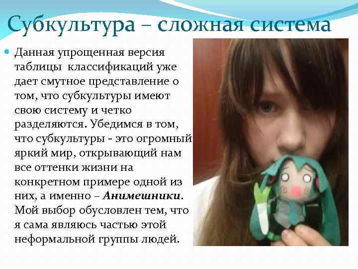 Субкультура – сложная система Данная упрощенная версия таблицы классификаций уже дает смутное представление о