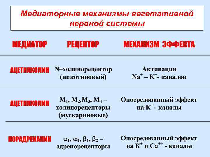 Медиаторные механизмы вегетативной нервной системы 