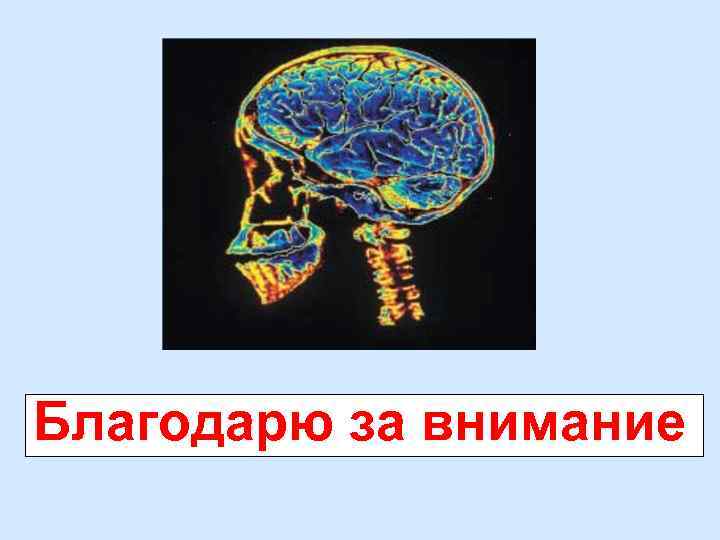 Благодарю за внимание 