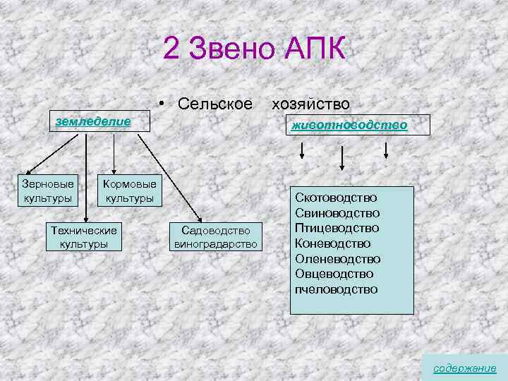 Основным звеном апк является