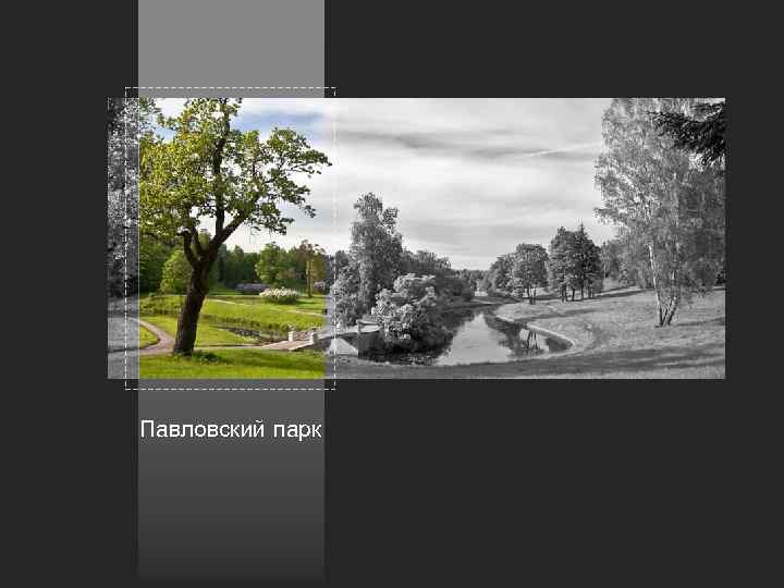 Павловский парк 