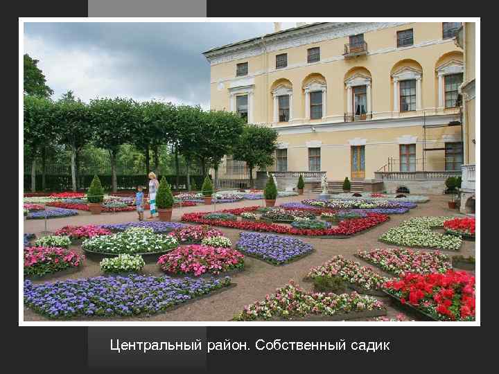 Центральный район. Собственный садик 