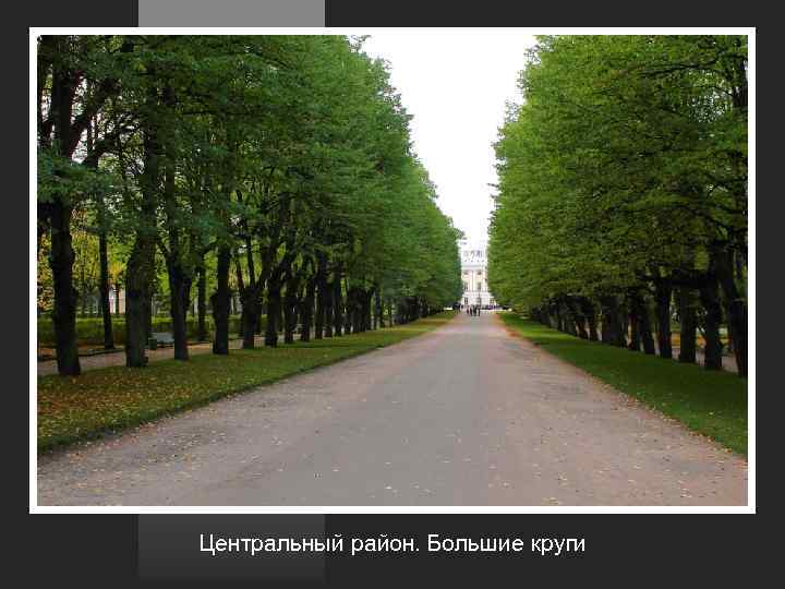Центральный район. Большие круги 