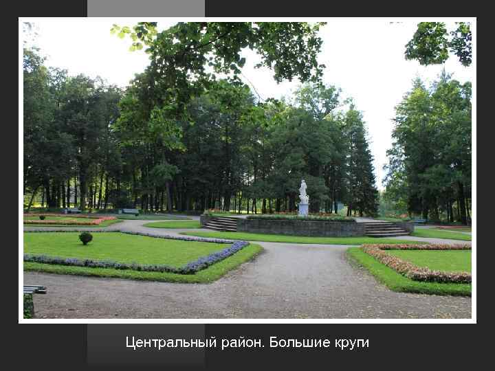 Центральный район. Большие круги 