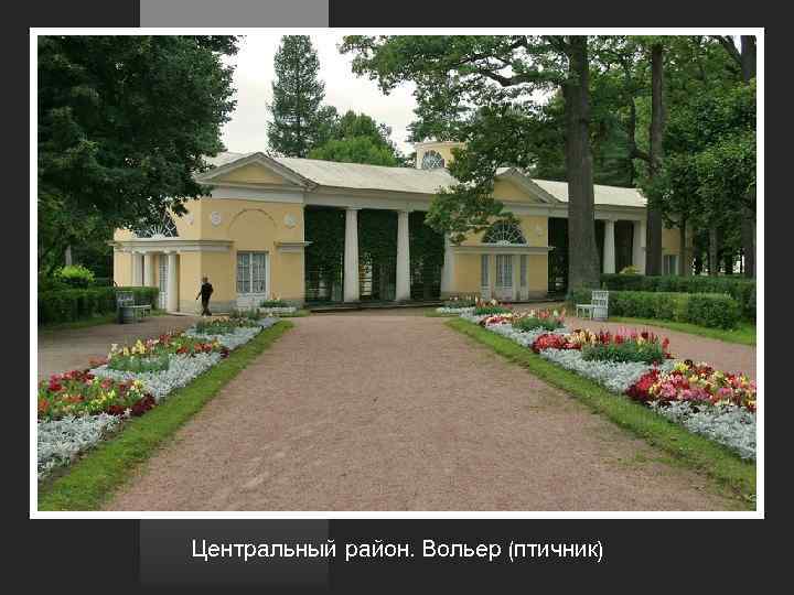 Центральный район. Вольер (птичник) 