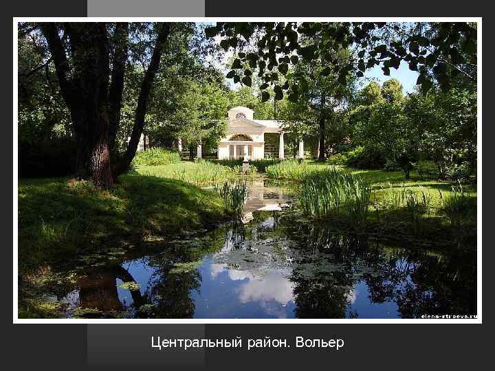 Центральный район. Вольер 