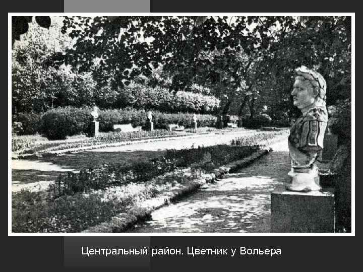 Центральный район. Цветник у Вольера 