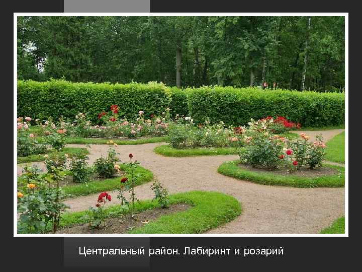 Центральный район. Лабиринт и розарий 