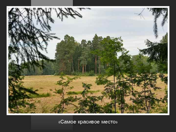  «Самое красивое место» 