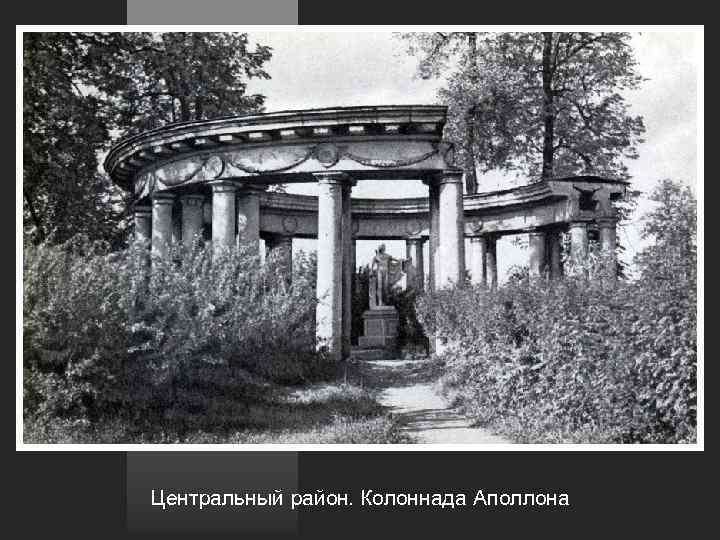 Центральный район. Колоннада Аполлона 
