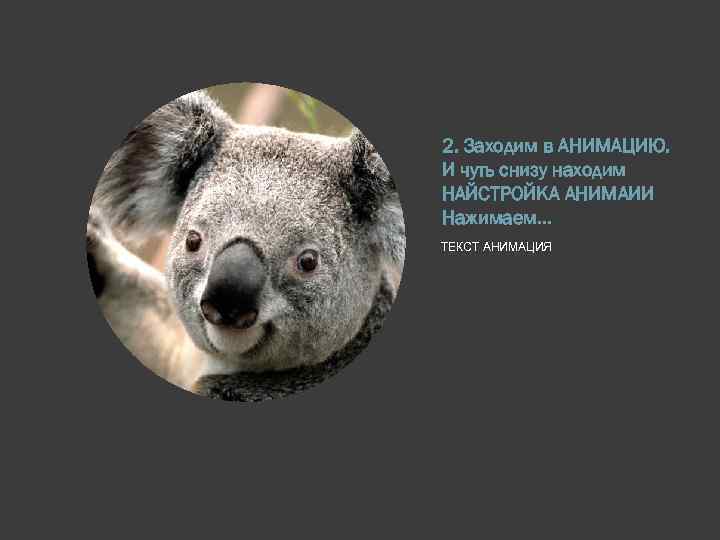 2. Заходим в АНИМАЦИЮ. И чуть снизу находим НАЙСТРОЙКА АНИМАИИ Нажимаем… ТЕКСТ АНИМАЦИЯ 