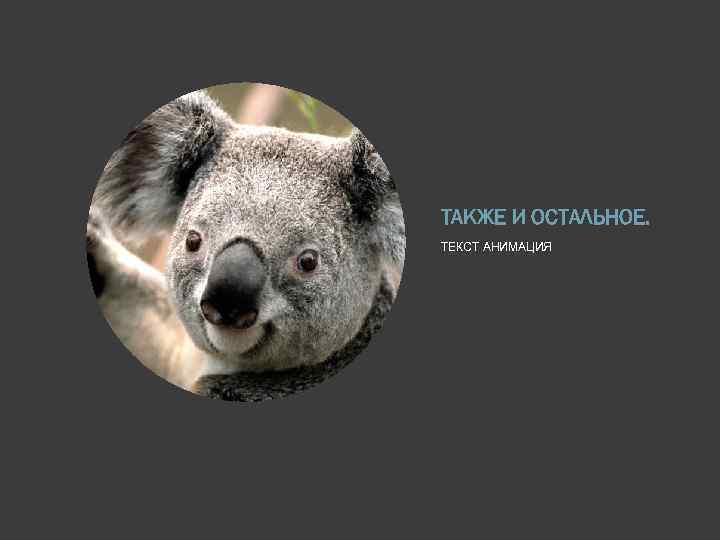 ТАКЖЕ И ОСТАЛЬНОЕ. ТЕКСТ АНИМАЦИЯ 