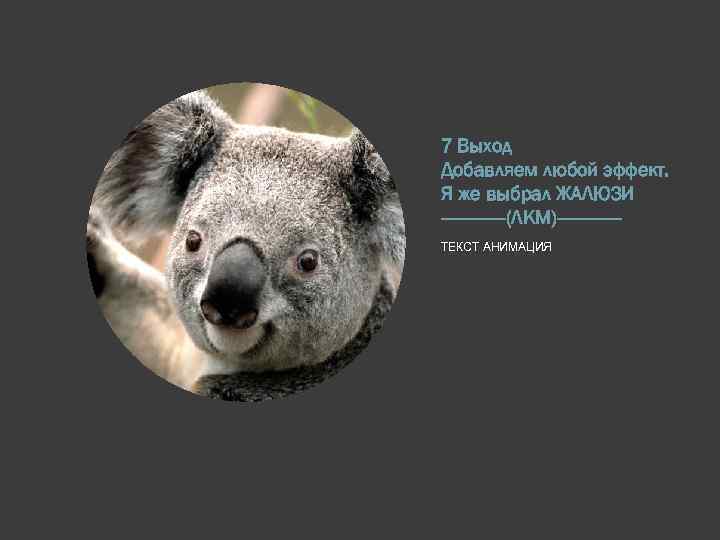 7 Выход Добавляем любой эффект. Я же выбрал ЖАЛЮЗИ -------(ЛКМ)------ТЕКСТ АНИМАЦИЯ 