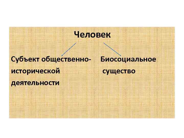 Человек Субъект общественноисторической деятельности Биосоциальное существо 