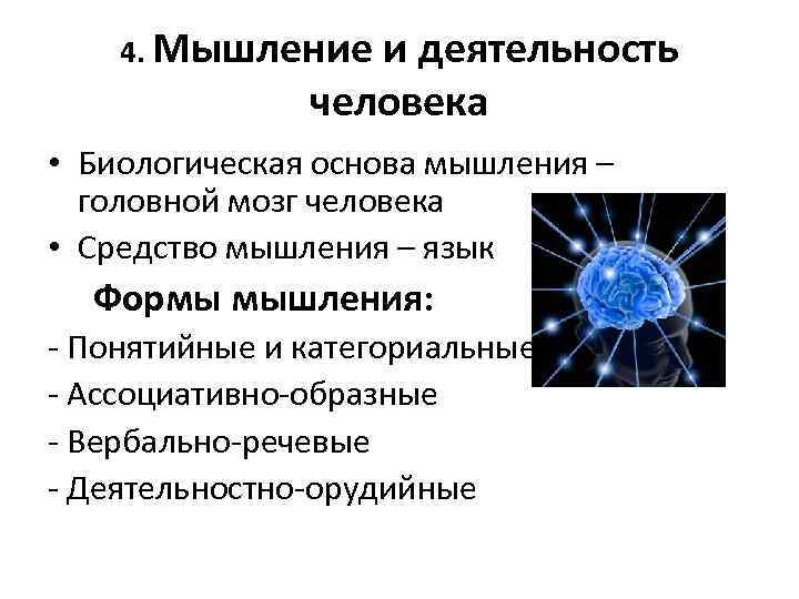 4. Мышление и деятельность человека • Биологическая основа мышления – головной мозг человека •