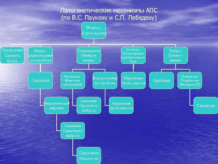 Патогенетические механизмы АПС (по В. С. Паукову и С. П. Лебедеву) Этанол, Ацетальдегид Подавление