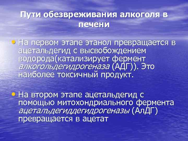 Пути обезвреживания алкоголя в печени • На первом этапе этанол превращается в ацетальдегид с