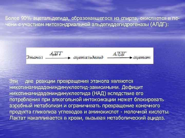 Более 90% ацетальдегида, образовавшегося из спирта, окисляется в пе- чени с участием митохондриальной альдегидрогеназы