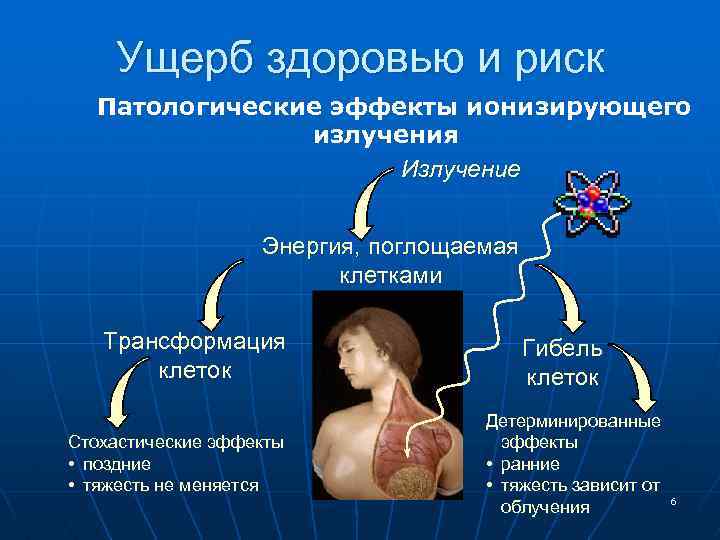 Ущерб здоровью и риск Патологические эффекты ионизирующего излучения Излучение Энергия, поглощаемая клетками Трансформация клеток