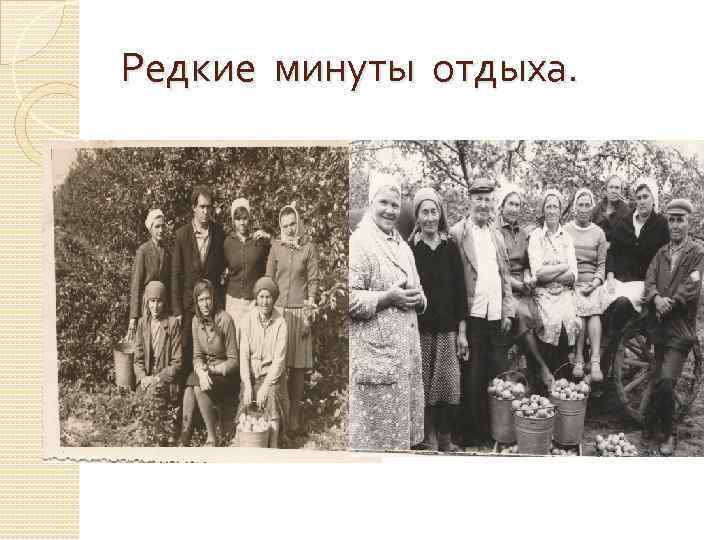 Редкие минуты отдыха. 