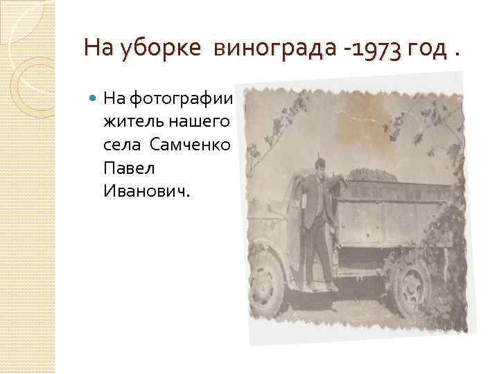 На уборке винограда -1973 год. На фотографии житель нашего села Самченко Павел Иванович. 