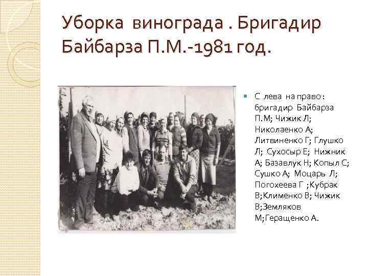 Уборка винограда. Бригадир Байбарза П. М. -1981 год. С лева на право : бригадир