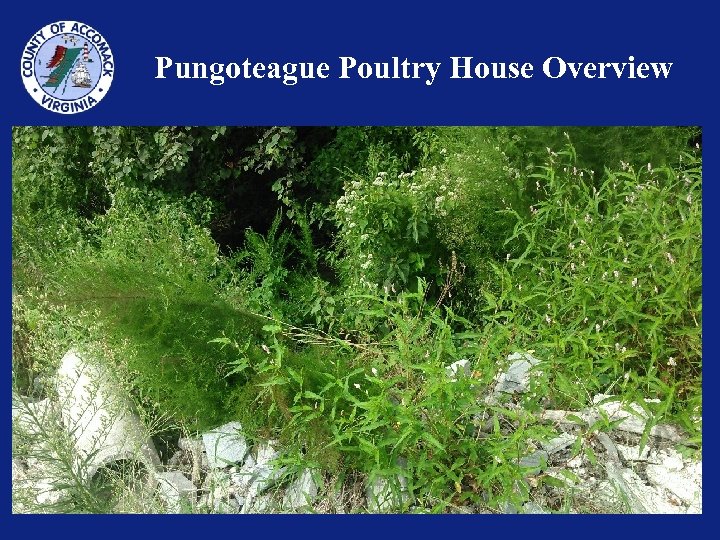 Pungoteague Poultry House Overview 