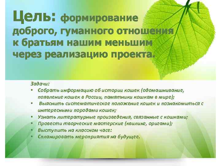 Цель: формирование доброго, гуманного отношения к братьям нашим меньшим через реализацию проекта. Задачи: •